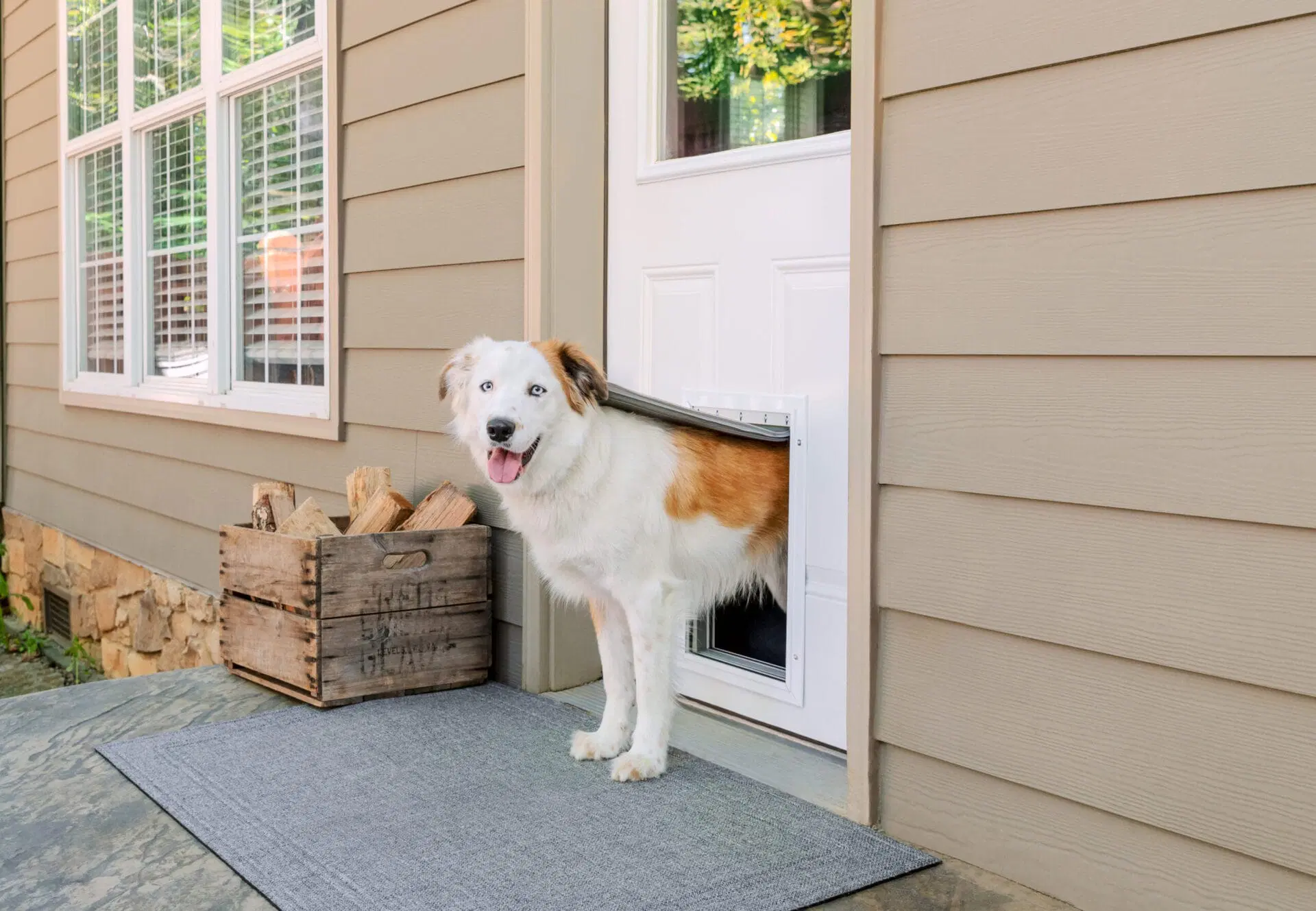 diy dog door