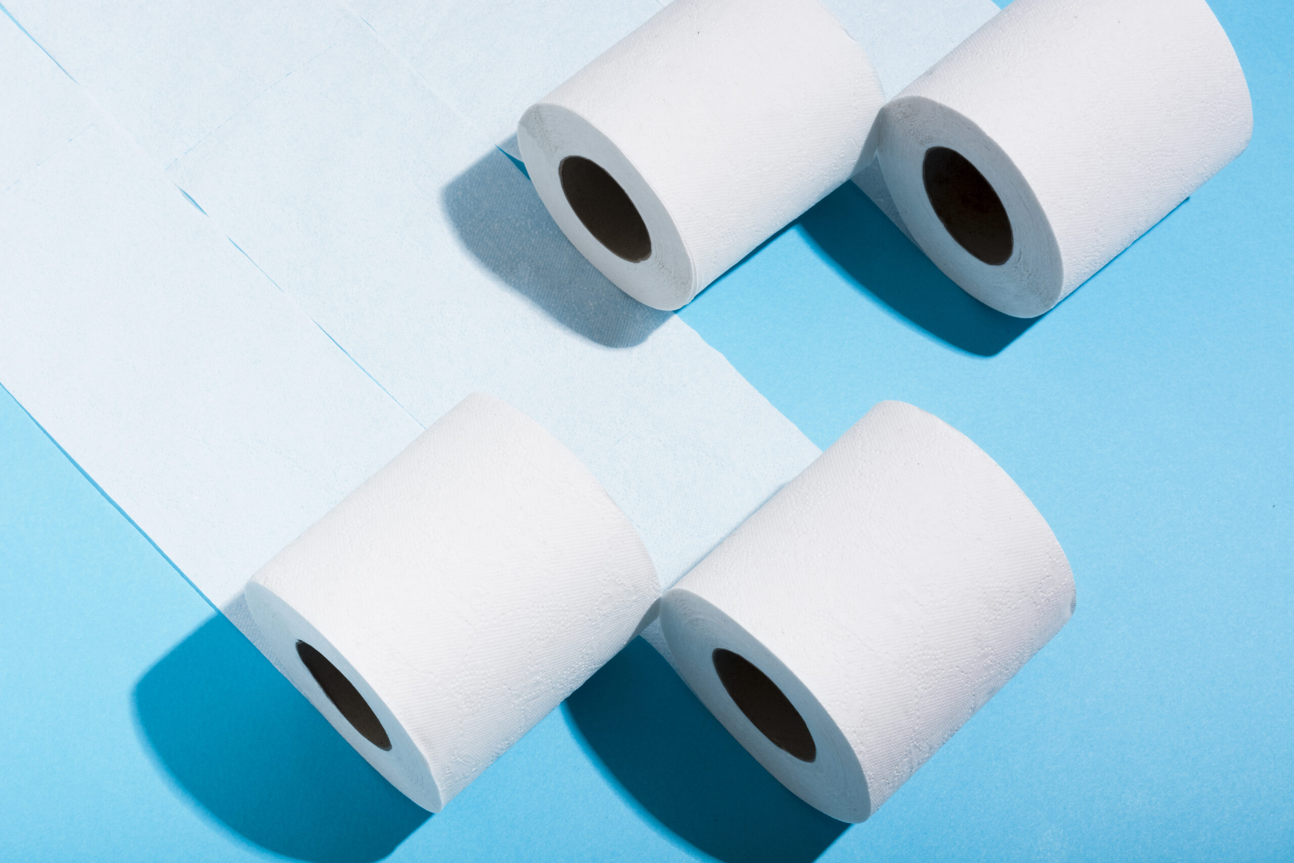 where is charmin toilet paper made