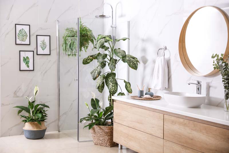 Bathrooms